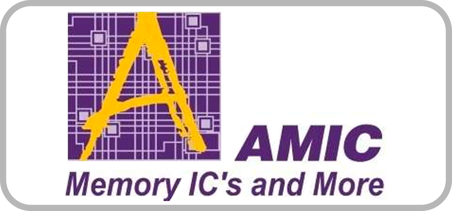 amic memory