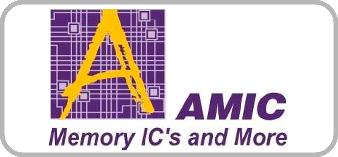 amic memory